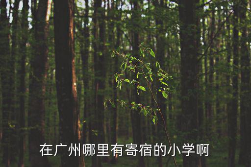 在廣州哪里有寄宿的小學啊