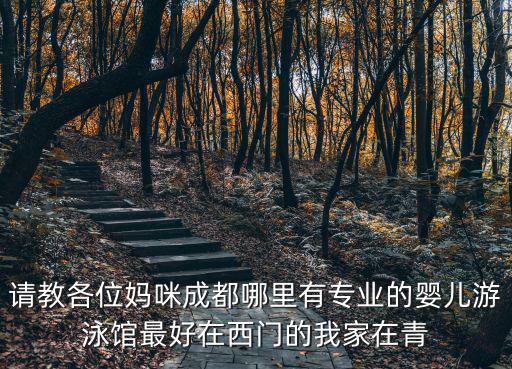 請教各位媽咪成都哪里有專業的嬰兒游泳館最好在西門的我家在青