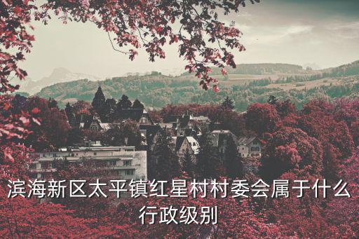 天津市濱海新區紅星村屬于大港么，濱海新區太平鎮紅星村村委會屬于什么行政級別