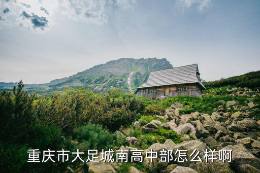 重慶市大足城南高級學校官網，重慶大足城南高中2014年招生分數線