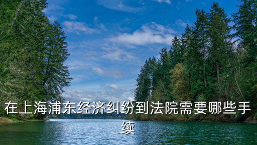 在上海浦東經濟糾紛到法院需要哪些手續