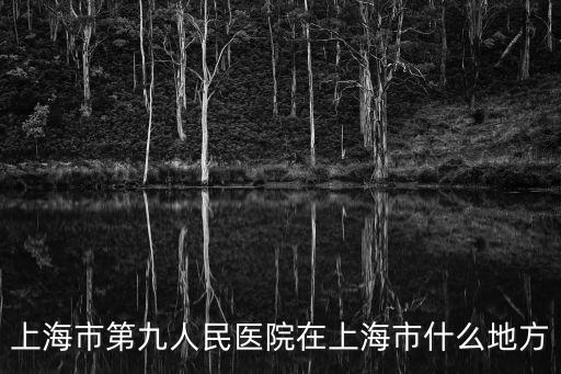 上海人民九院，上海第九人民醫(yī)院地址