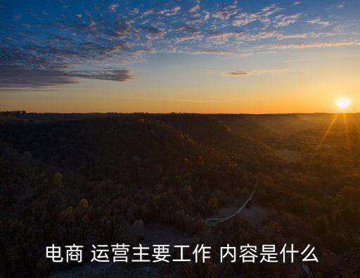  電商 運營主要工作 內容是什么