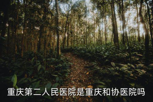 重慶第二人民醫院是重慶和協醫院嗎