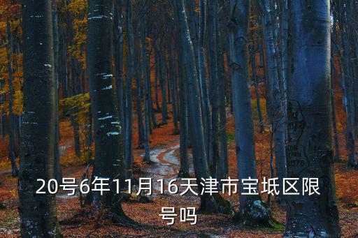 20號6年11月16天津市寶坻區限號嗎