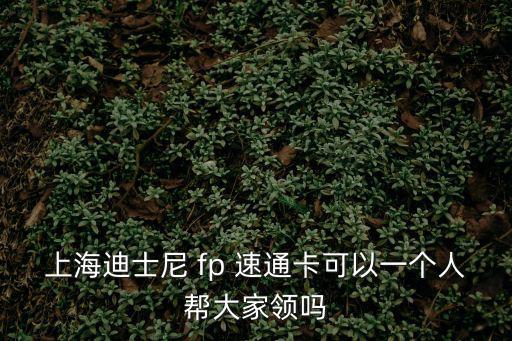 上海迪士尼 fp 速通卡可以一個人幫大家領嗎