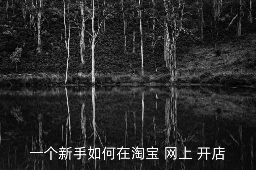 一個新手如何在淘寶 網上 開店