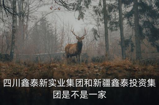 四川鑫泰新實業集團和新疆鑫泰投資集團是不是一家