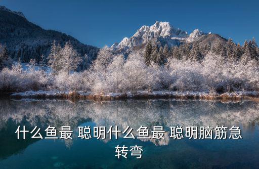 什么魚最 聰明什么魚最 聰明腦筋急轉彎