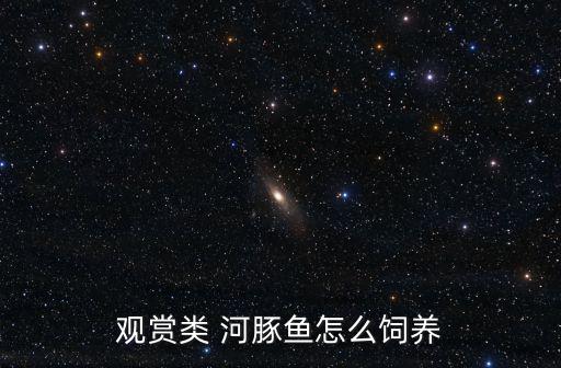 觀賞類 河豚魚怎么飼養(yǎng)