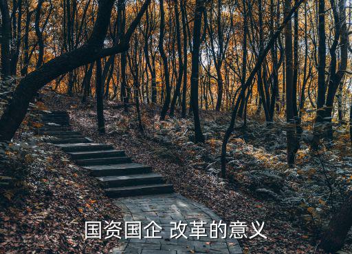 國資國企 改革的意義
