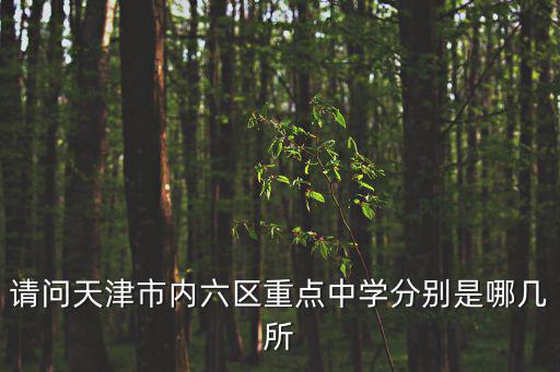 請問天津市內六區重點中學分別是哪幾所