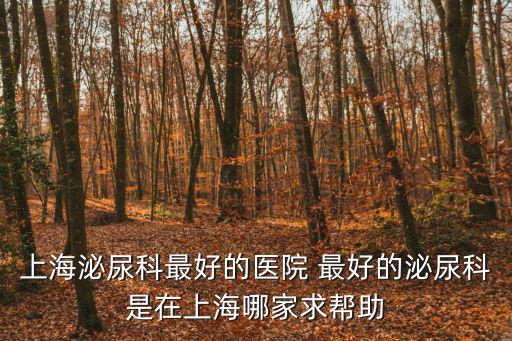 上海泌尿科最好的醫院 最好的泌尿科是在上海哪家求幫助