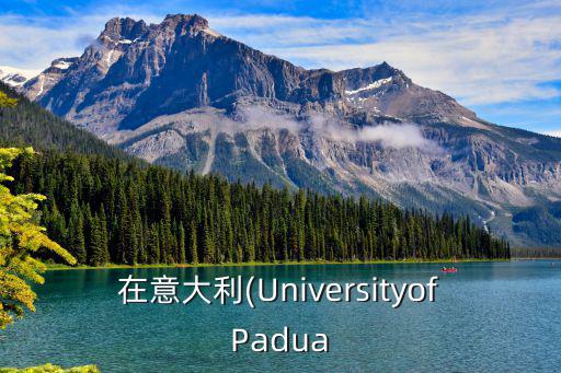 在意大利(UniversityofPadua