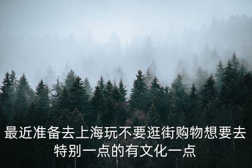 最近準(zhǔn)備去上海玩不要逛街購物想要去特別一點(diǎn)的有文化一點(diǎn)