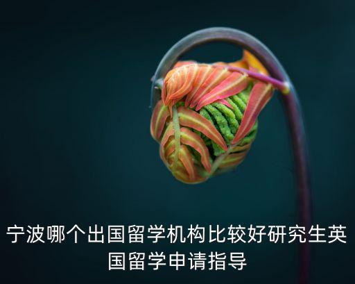 寧波哪個出國留學機構比較好研究生英國留學申請指導