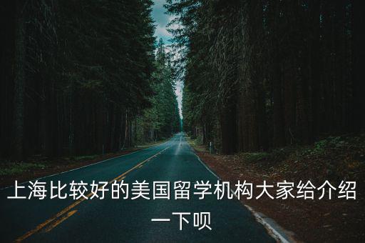 上海比較好的美國留學機構大家給介紹一下唄