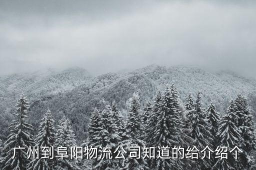 廣州到阜陽物流公司知道的給介紹個