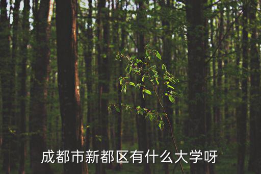 成都市新都區有什么大學呀
