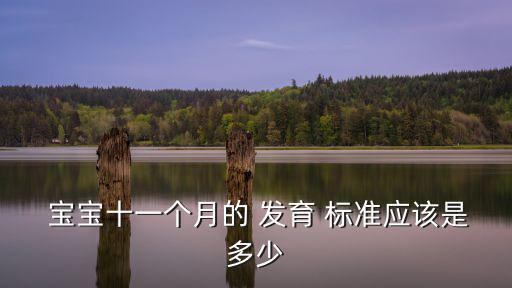  寶寶十一個月的 發(fā)育 標(biāo)準(zhǔn)應(yīng)該是多少