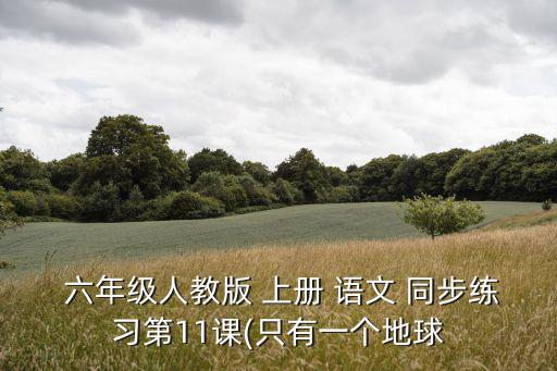 六年級上冊語文同步練習冊答案,未來三個月的熱點