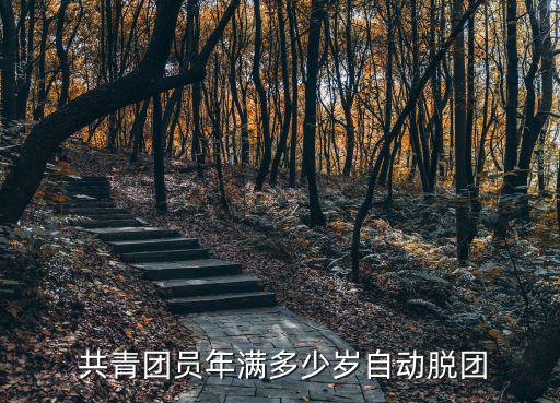  共青團員年滿多少歲自動脫團