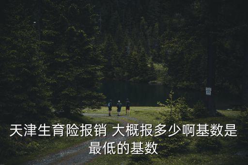 天津生育險(xiǎn)報(bào)銷 大概報(bào)多少啊基數(shù)是最低的基數(shù)