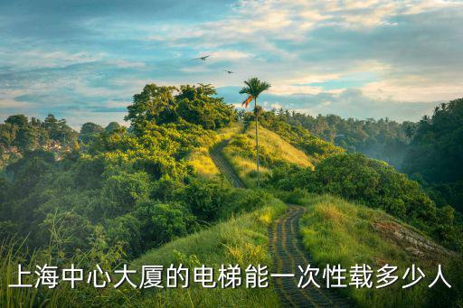 上海中心大廈的電梯能一次性載多少人