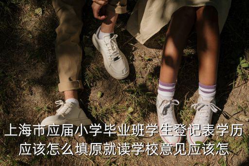 上海市應屆小學畢業班學生登記表學歷應該怎么填原就讀學校意見應該怎