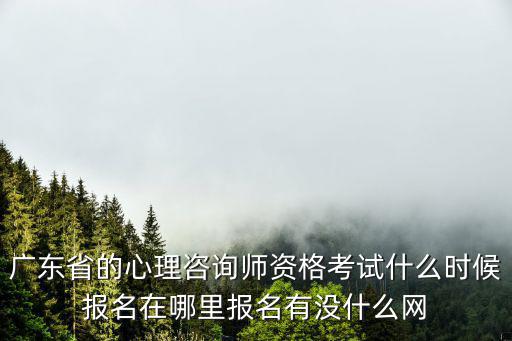 廣東省的心理咨詢師資格考試什么時候報名在哪里報名有沒什么網(wǎng)