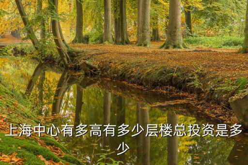 上海中心有多高有多少層樓總投資是多少