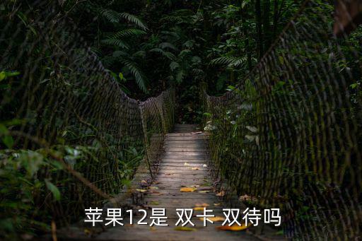  蘋(píng)果12是 雙卡 雙待嗎