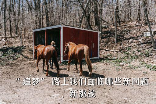 追夢路上,追夢路上的心酸與苦辣