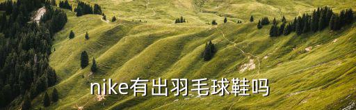  nike有出羽毛球鞋嗎