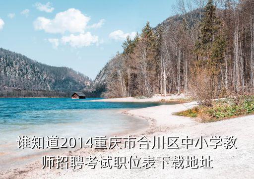 誰(shuí)知道2014重慶市合川區(qū)中小學(xué)教師招聘考試職位表下載地址