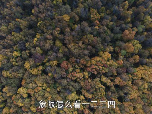  象限怎么看一二三四