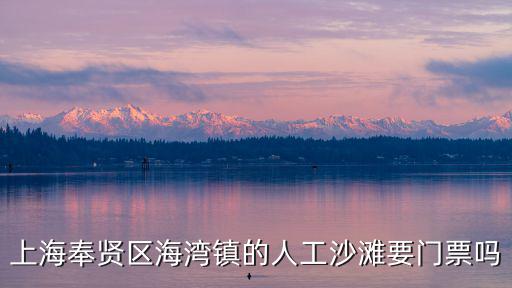 上海奉賢區海灣鎮的人工沙灘要門票嗎
