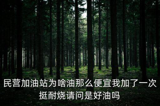 民營加油站為啥油那么便宜我加了一次挺耐燒請問是好油嗎