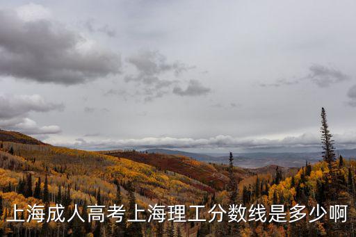 上海成人高考上海理工分數線是多少啊