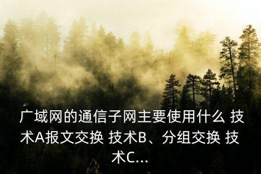 廣域網技術,廣域網不等同互聯網主要使用bra分組交換技術