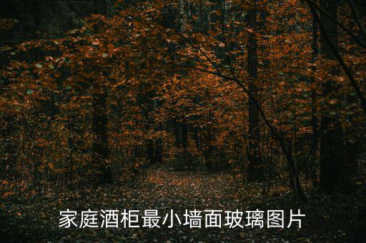 家庭酒柜最小墻面玻璃圖片