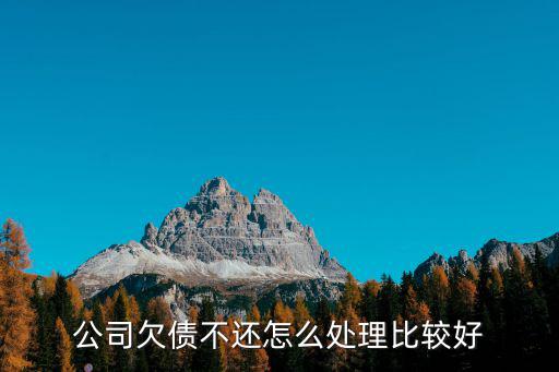 公司欠債不還怎么處理比較好