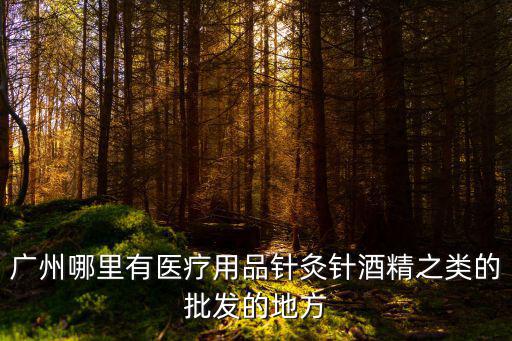 廣州哪里有醫療用品針灸針酒精之類的批發的地方