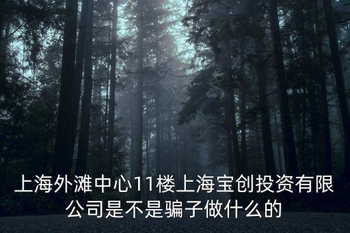 上海外灘中心有哪些公司，上海外灘中心11樓上海寶創(chuàng)投資有限公司是不是騙子做什么的