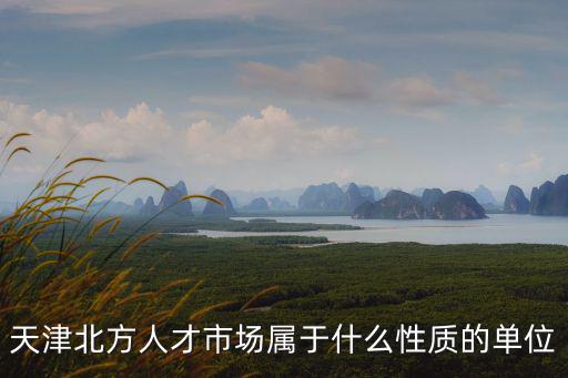 天津北方人才市場屬于什么性質的單位