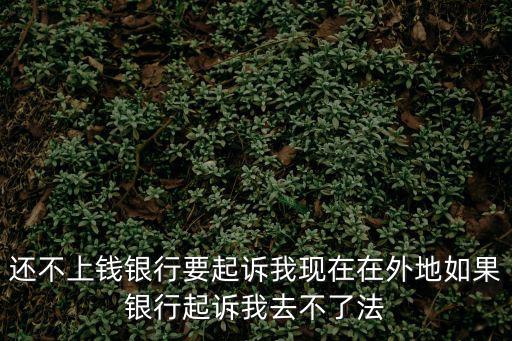 網(wǎng)貸異地起訴開庭沒法去怎么辦，經(jīng)濟糾紛庭審在外地不想出席怎么辦