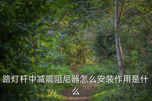 路燈桿中減震阻尼器怎么安裝作用是什么