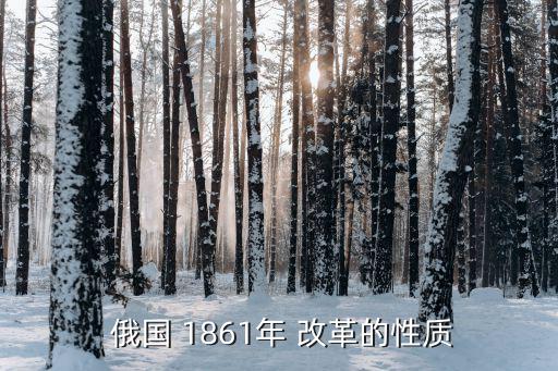 俄國1861年改革,俄國1861年改革與美國內戰相關聯