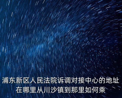 浦東新區(qū)立案庭地址，上海浦東人民法院在什么路上