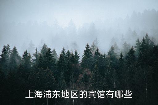上海浦東地區(qū)的賓館有哪些